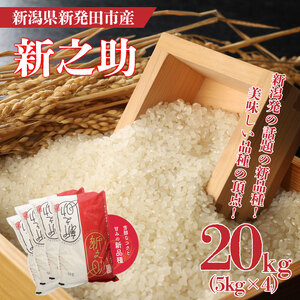 新之助 20kg 5kg 4袋 新潟 米 新之助20kg 新之助精米 新之助白米 新潟産新之助 watasho009_1