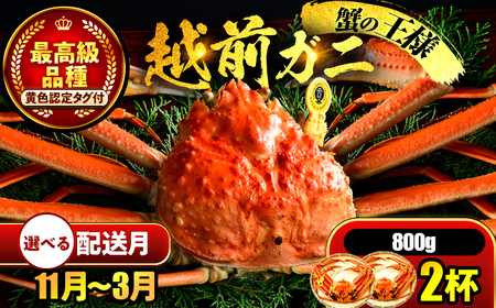 【先行予約/11月7日より順次発送】【希望月指定可】 越前がに 800ｇ×2ハイ  / 蟹 ズワイガニ ずわいがに ボイル 冷蔵 小浜市 / まるほ商店 【配送不可地域：北海道・沖縄・離島】[BFCS025]