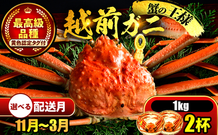 【先行予約/11月7日より順次発送】【希望月指定可】 越前がに 1kg×2ハイ  / 蟹 ズワイガニ ずわいがに ボイル 冷蔵 小浜市 / まるほ商店 【配送不可地域：北海道・沖縄・離島】[BFCS031]