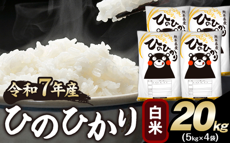 令和7年産 ひのひかり 白米 20kg 《1-5日以内に出荷予定(土日祝除く