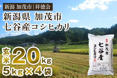 【令和8年産新米先行予約】七谷産コシヒカリ 玄米20kg（5kg×4）《10月中旬～順次出荷》 高柳地域産数量限定 昇徳会