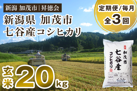 【令和8年産新米先行予約】【定期便3ヶ月毎月お届け】七谷産コシヒカリ 玄米20kg（5kg×4）《10月中旬～順次出荷》 高柳地域産数量限定 昇徳会