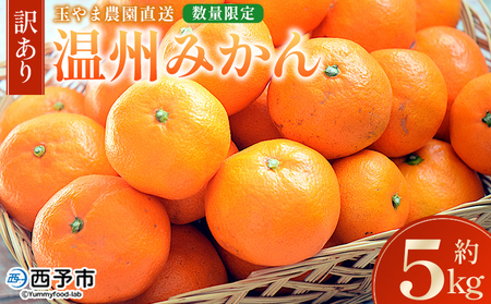 【先行予約】＜【訳あり】温州みかん 約5kg 数量限定 産地直送＞ ワケアリ 家庭用 みかん ミカン うんしゅうみかん ウンシュウ 蜜柑 柑橘 フルーツ 果物 果実 くだもの 特産品 旬 玉やま農園 愛媛県 西予市【常温】『2026年11月上旬～12月迄に順次出荷予定』MTN0006