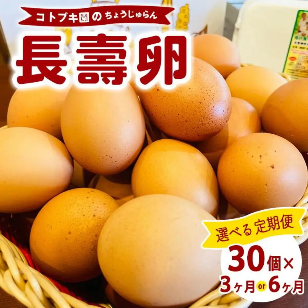 【定期便6ヶ月】当社自慢 長壽卵 30個入りタマゴ けいじゅらん 鶏卵 玉子 国産　先行予約受付　　※離島への配送不可｜食品