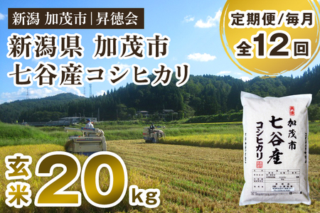 【令和8年産新米先行予約】【定期便12ヶ月毎月お届け】七谷産コシヒカリ 玄米20kg（5kg×4）《10月中旬～順次出荷》 高柳地域産数量限定 昇徳会
