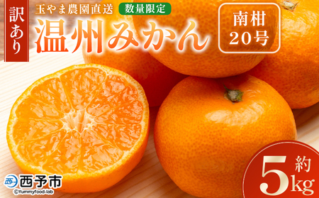 ＜【訳あり】温州みかん（南柑20号）約5kg 数量限定 産地直送＞ ワケアリ 家庭用 みかん ミカン うんしゅうみかん ウンシュウ なんかん 蜜柑 柑橘 フルーツ 果物 果実 くだもの 特産品 旬 玉やま農園 愛媛県 西予市【常温】『2024年12月から順次出荷予定』MTN0007