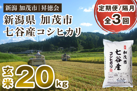 【令和8年産新米先行予約】【定期便3回隔月お届け】七谷産コシヒカリ 玄米20kg（5kg×4）《10月中旬～順次出荷》 高柳地域産数量限定 昇徳会