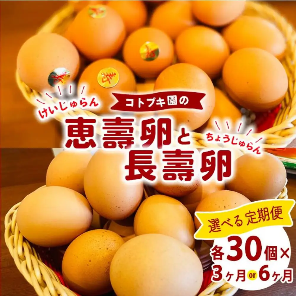 【定期便6ヶ月】当社自慢　長壽卵 30個入り＆恵壽卵 30個入り　タマゴ けいじゅらん 玉子 国産　先行予約受付　※離島への配送不可｜食品