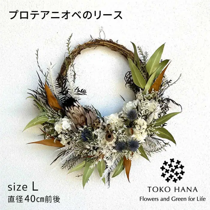 プロテアニオベのリース（Lサイズ） 糸島市 / tokohana ドライフラワー アレンジ[AOC033]