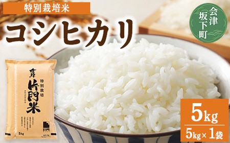 3-L コシヒカリ 白米 会津 5kg 1袋 令和7年産米 藤川農産 ※2025年10月上旬頃より順次発送予定