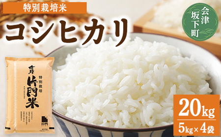 3-M コシヒカリ 白米 会津 5kg 4袋 計20kg 令和7年産米 藤川農産 ※2025年10月上旬頃より順次発送予定