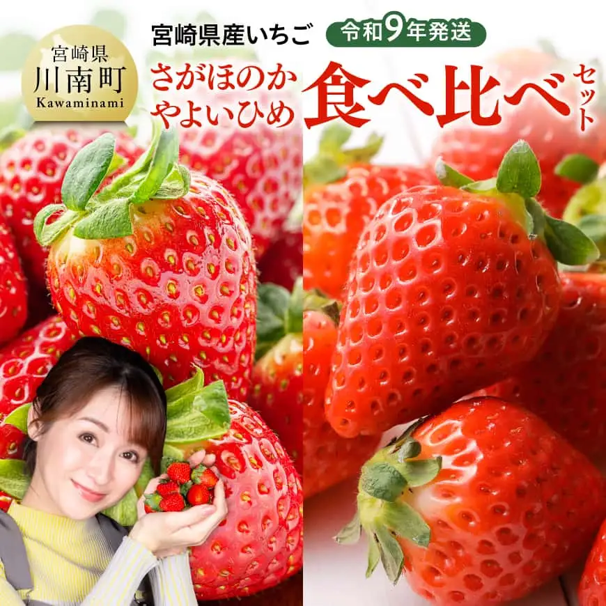【令和9年発送】　宮崎県産いちご　「さがほのか＆やよいひめ」食べ比べセット 【 先行予約 期間限定 果物 イチゴ 苺 フルーツ 】