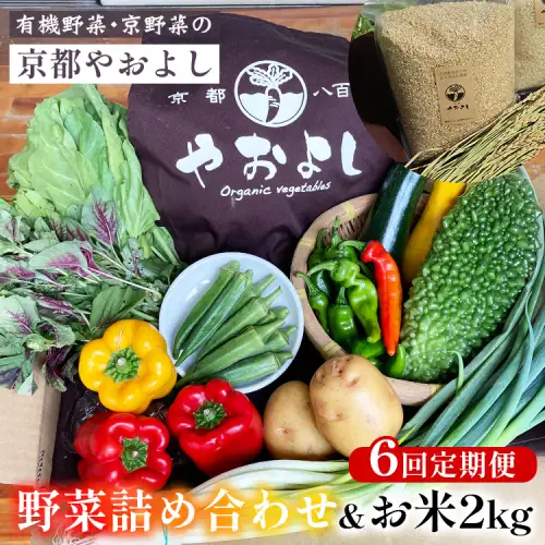 【6回定期便】有機野菜詰め合わせ＆米 野菜