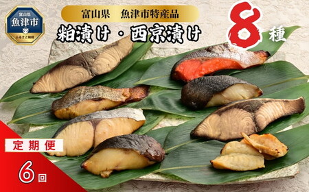 【6ヶ月定期便】【冷凍・小分け】粕漬け 西京漬け 4種ずつ 8種セット 8パック（ブリ・銀ダラ・紅鮭・ふぐ・サワラ・メダイ）｜ぶり 銀だら 紅鮭 鮭 しゃけ シャケ ふぐ さわら メダイ JFケイソン冷蔵【 漬け魚 】 ※北海道・沖縄・離島への配送不可 ◇