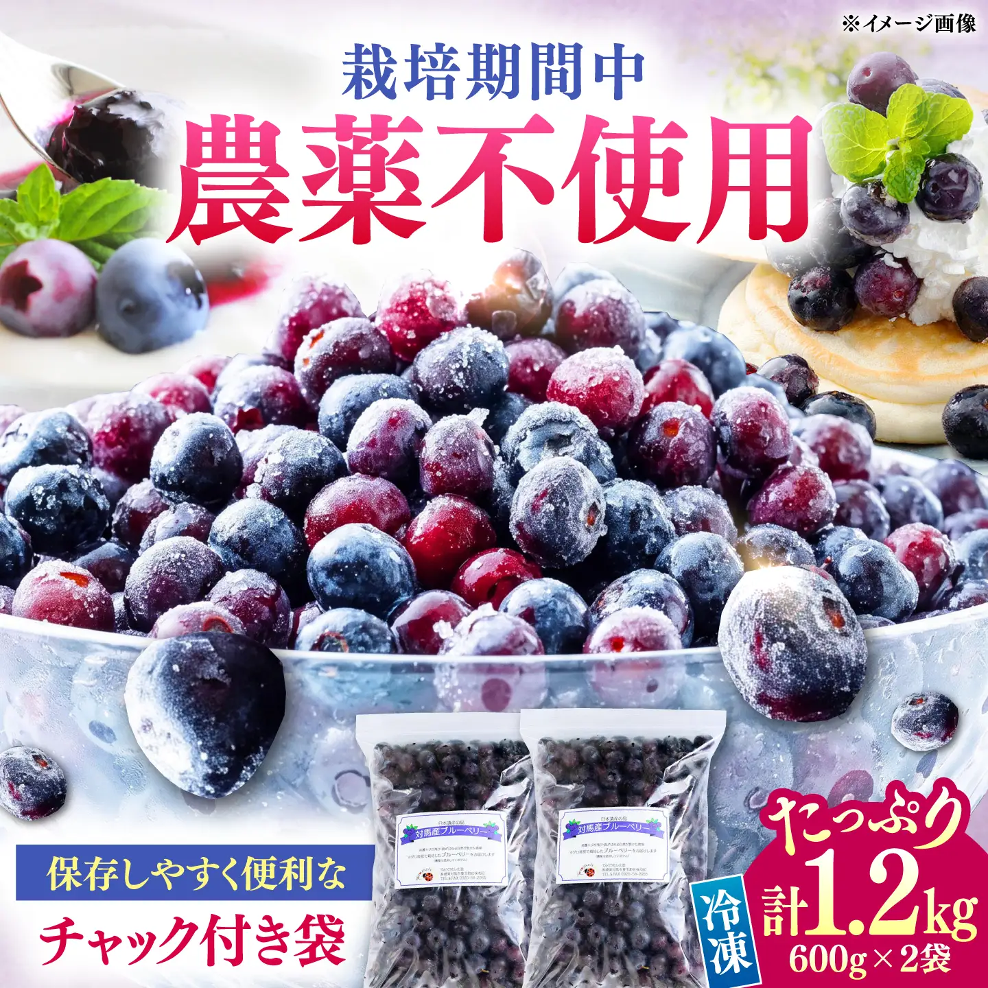 【先行予約】大容量 対馬産 ブルーベリー 1.2kg（ 冷凍 ） [WBG001] 果物 フルーツ ベリー 冷凍 ブルーベリー旬 ブルーベリー