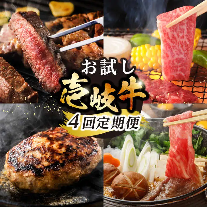 【全4回定期便】 壱岐牛 いろいろお試し定期便（全4種/計約2kg）《壱岐市》【株式会社ヤマグチ】 焼肉 ハンバーグ サーロイン ステーキ すき焼 モモ 冷凍配送 [JCG146]