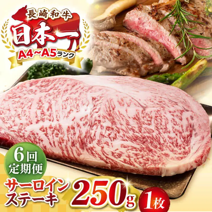 【全6回定期便】【A4～A5ランク】長崎和牛 サーロインステーキ 250g（250g×1枚）《壱岐市》【株式会社MEAT PLUS】 肉 牛肉 黒毛和牛 サーロイン ステーキ ご褒美 ギフト 贈答用 ご褒美 冷凍配送 A4 A5 [JGH125]