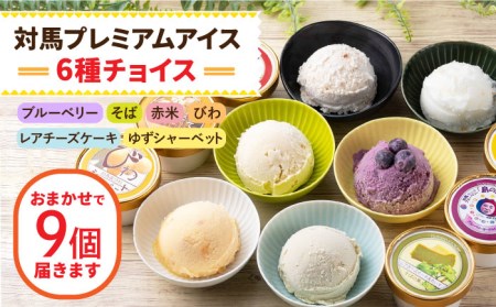対馬 プレミアム アイス 6種セットアイスクリーム セット スイーツ  [WAM004]