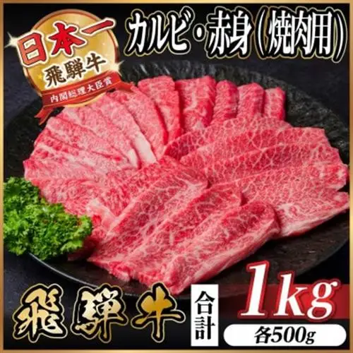 飛騨牛 厳選カルビ・赤身(焼肉・BBQ用) 1kg(各500g)　黒毛和牛　小分け　A4～A5等級_肉 焼肉 牛肉 やきにく ヤキニク バーベキュー  肉 飛騨牛 牛肉 うし ビーフ_【配送不可地域：離島】【1543764】