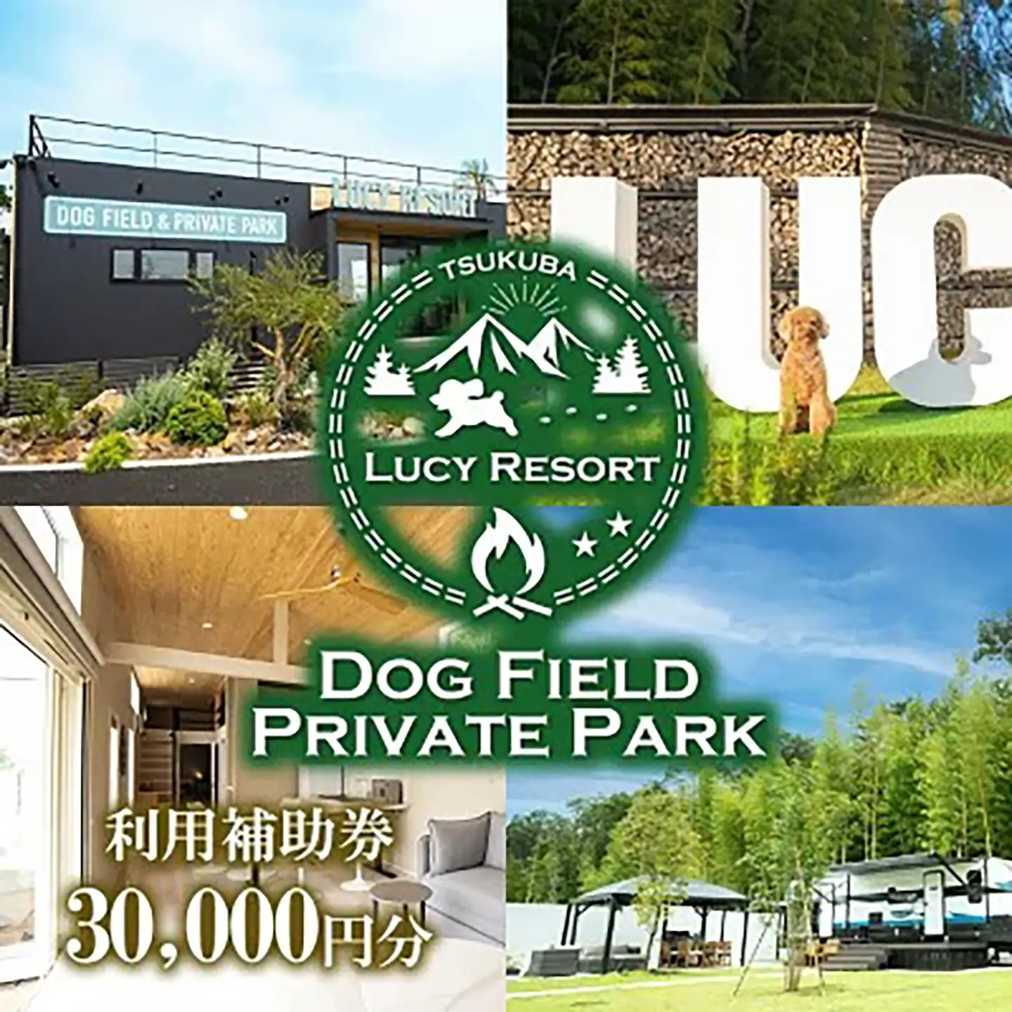 グランピング LUCY RESORT 利用券 30,000円分 グランピング