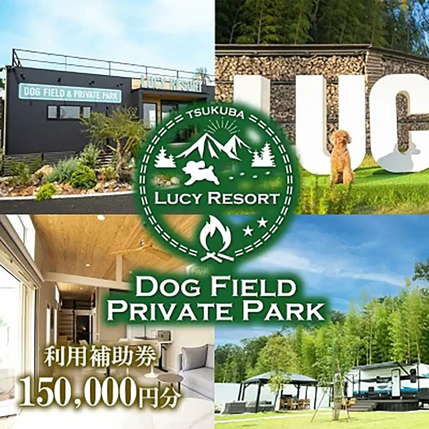 グランピング LUCY RESORT 利用券 150,000円分 グランピング