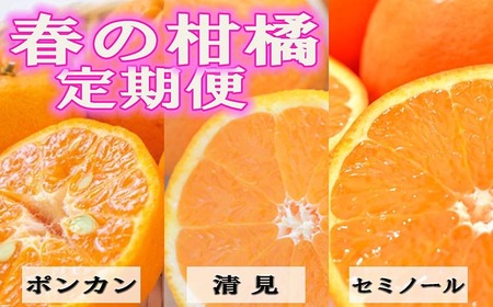 〈定期便〉【2・3・4月 全3回】和歌山の春の柑橘（ポンカン・清見オレンジ・セミノールオレンジ）｜フルーツ