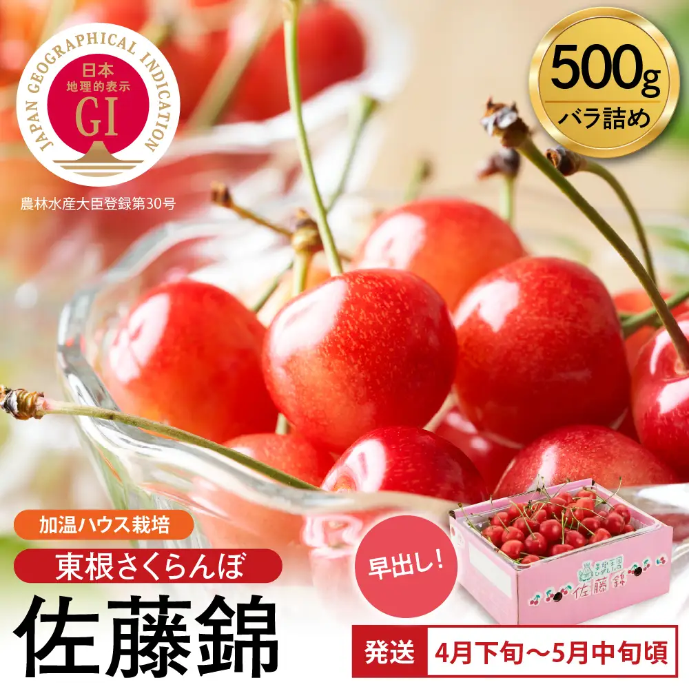 2027年産 加温 GI 東根さくらんぼ 佐藤錦 500g さくらんぼ