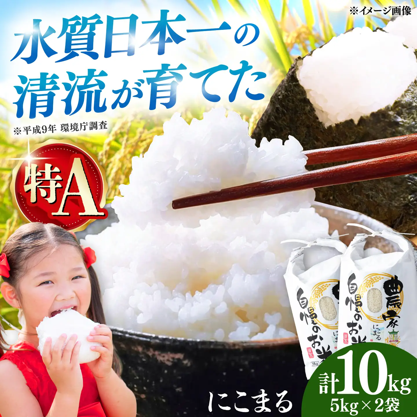 【R8年産】【2026年10月中旬頃より順次発送】特A 対馬産 にこまる 5kg×2「ほたる舞う三根川の米」 新米 米 お米 ご飯 ごはん 白米 10kg 10キロ 贈答用 特A [WAJ001]