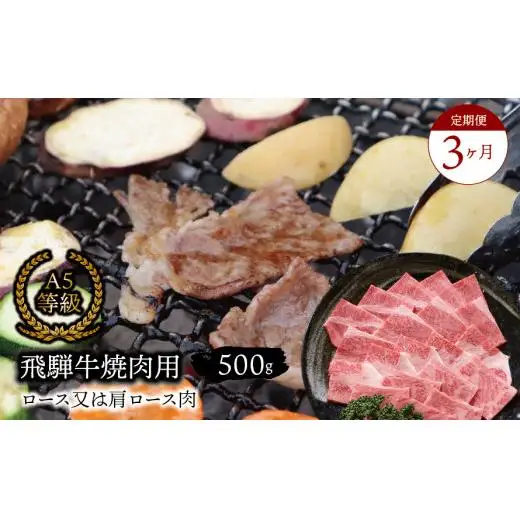 【３ヶ月定期便】 A5等級 飛騨牛 焼肉用 500ｇ ロース又は肩ロース肉