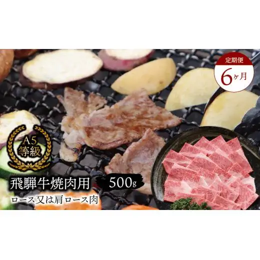 【６ヶ月定期便】 A5等級 飛騨牛 焼肉用 500ｇ ロース又は肩ロース肉