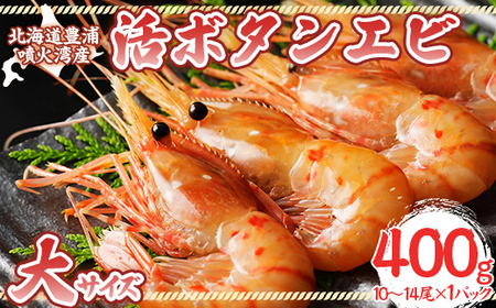 活ボタンエビ 大サイズ 400g（10～14尾）×1パック 北海道 噴火湾産【2026年9月以降順次発送】