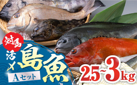 対馬 活〆 島魚セット 2.5ー3kg 海鮮 魚介 ブリ タイ  [WAC004]