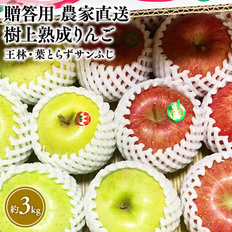 りんご 贈答用 王林・葉とらずサンふじ 約3kg【hi-0033-003】