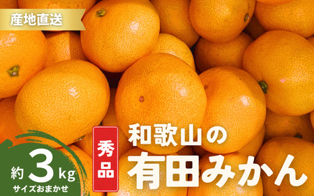 【12月発送】秀品 有田みかん 和歌山県産  S～Lサイズ 大きさお任せ 3kg / みかん フルーツ 果物 くだもの 有田みかん 蜜柑 柑橘【ktn001A-12】