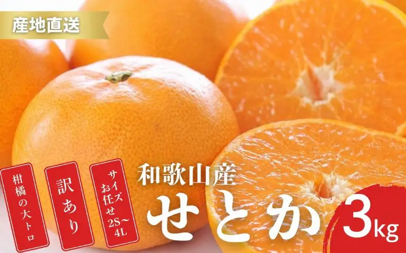 【先行予約】訳あり せとか 和歌山 有田 2S～4Lサイズ混合 3kg【2月上旬～3月下旬頃に順次発送】/ みかん フルーツ 果物 くだもの 蜜柑 柑橘【ktn015B】