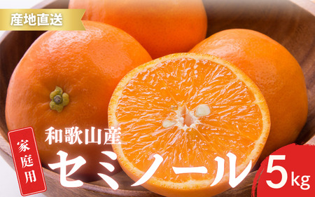 【先行予約】家庭用 訳あり セミノール  和歌山 有田  S~4Lサイズ混合 5kg【4月下旬～5月下旬頃に順次発送】/ みかん フルーツ 果物 くだもの 蜜柑 柑橘【ktn017A】