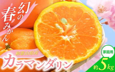 【先行予約】家庭用 訳あり カラマンダリン なつみ 和歌山 有田  2S~3Lサイズ混合 5kg【4月上旬～5月上旬頃に順次発送】/ みかん【ktn020A】