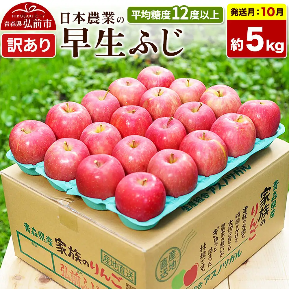 【26年10月発送】りんご 早生ふじ【訳あり】約5kg 平均糖度12度以上 青森 果物 フルーツ 林檎 リンゴ くだもの 不揃い 規格外