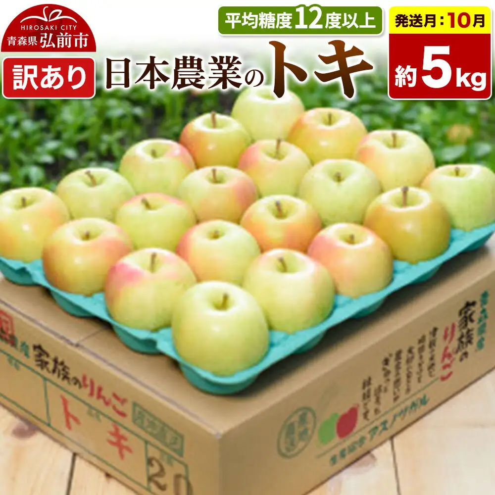 【26年10月発送】りんご トキ【訳あり】約5kg 平均糖度12度以上 青森県 弘前市 果物 フルーツ 林檎 リンゴ くだもの 不揃い 規格外
