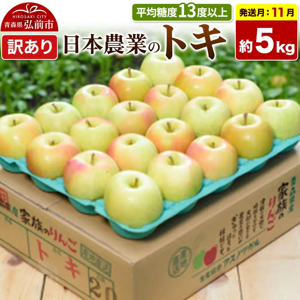 【26年11月発送】りんご トキ【訳あり】約5kg 平均糖度13度以上 青森県 弘前市 果物 フルーツ 林檎 リンゴ くだもの 不揃い 規格外