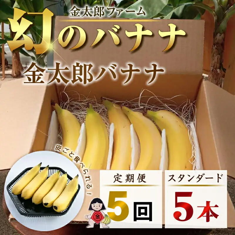 定期便：スタンダード 金太郎バナナ（25本）  5本×5回（毎月お届け） 栽培期間中農薬不使用 【国産 ギフト プレゼント 贈り物 お返し おいしい 金太郎バナナ 果物 くだもの フルーツ お歳暮 お中元 】