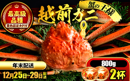 【年末配送】越前がに 800ｇ×2ハイ ズワイガニ 【先行予約/12月25日より順次発送】【配送不可地域：北海道・沖縄・離島】[BFCS040]