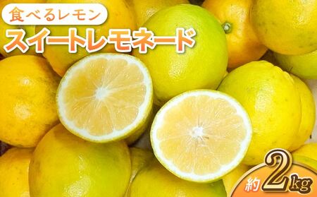 先行予約 レモン 食べるレモン スイートレモネード 約2kg（15～25玉）【2026年12月上旬から2027年6月中順発送予定】