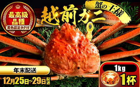 【年末配送】越前がに 1kg×1ハイ ズワイガニ 【先行予約/12月25日より順次発送】【配送不可地域：北海道・沖縄・離島】[BFCS045]
