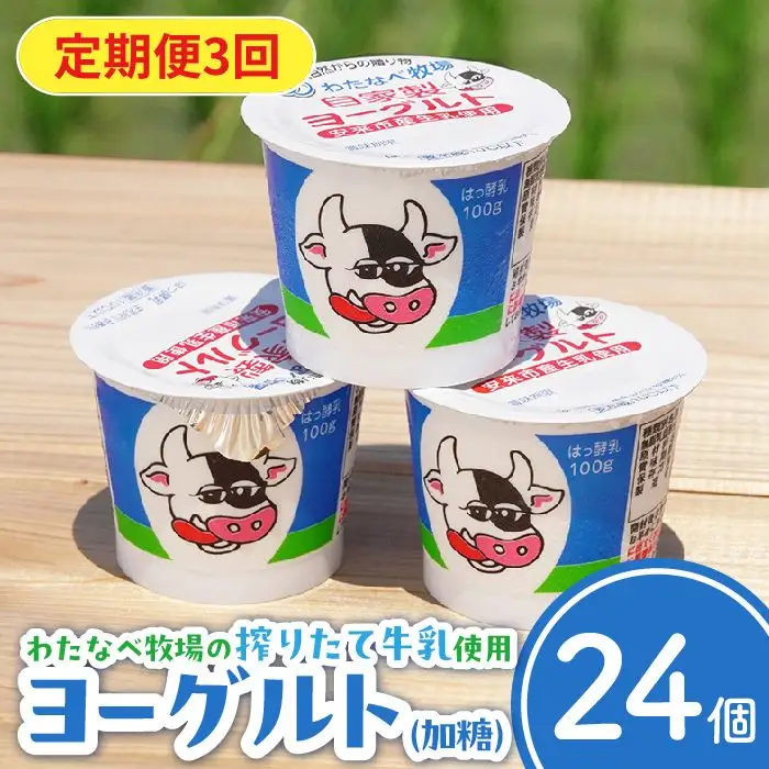 【定期便3回】わたなべ牧場のヨーグルトセット ／ 24個 ×3ヵ月 ヨーグルト 加糖 牧場 生乳 こだわり 甘み 搾りたて 安心 自然派 化学合成物質不使用 定期便 島根県 安来市