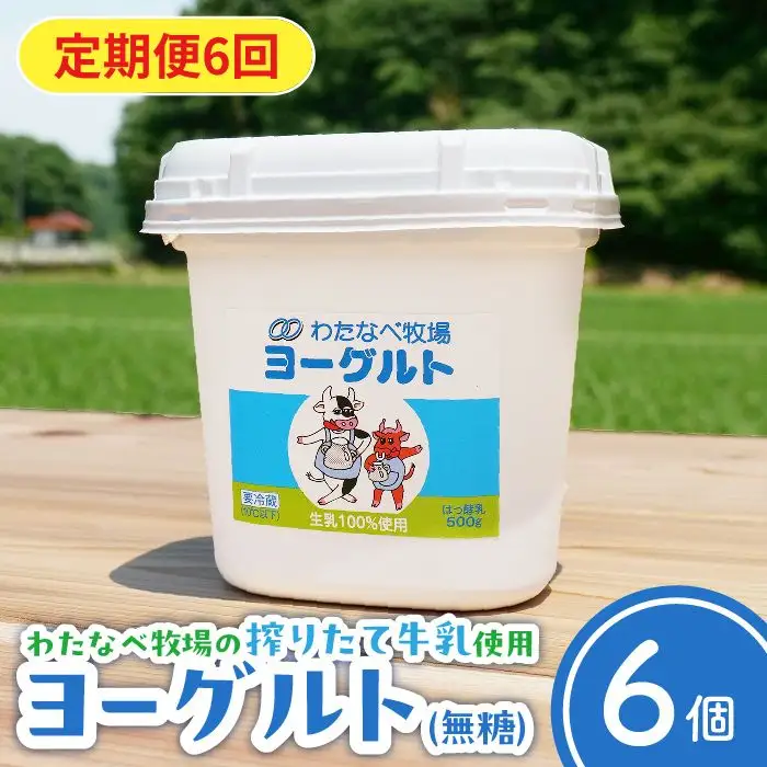 【定期便6回】ヨーグルト500ｇ（プレーン）6個セット／ 無糖 ネッカ牛乳 ノンホモ製法 セット 搾りたて 栄養 こだわり おやつ デザート 朝食 スイーツ 自然派 化学合成物質不使用 安心 乳製品 乳酸菌 腸活 健康 定期便 島根県 安来市