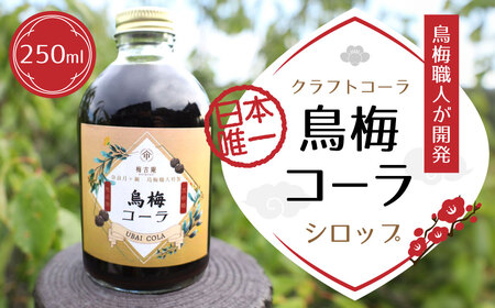 鳥梅コーラシロップ 梅古庵 コーラ 梅 シロップ 10-032