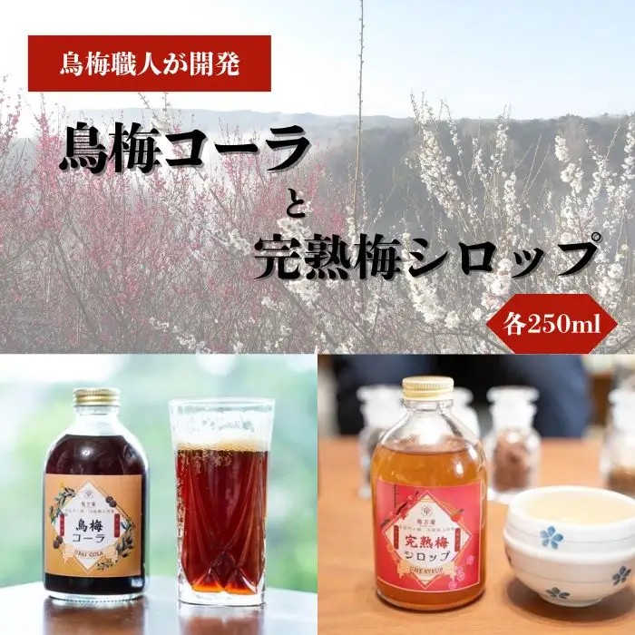 烏梅コーラと完熟梅シロップのセット 梅古庵 17-004 コーラ 梅 シロップ