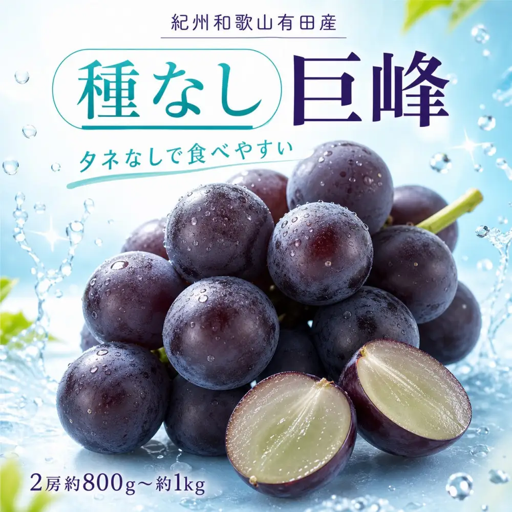 紀州有田産の種なし巨峰ぶどう２房（約800g〜1kg）【2026年発送 先行予約】 巨峰