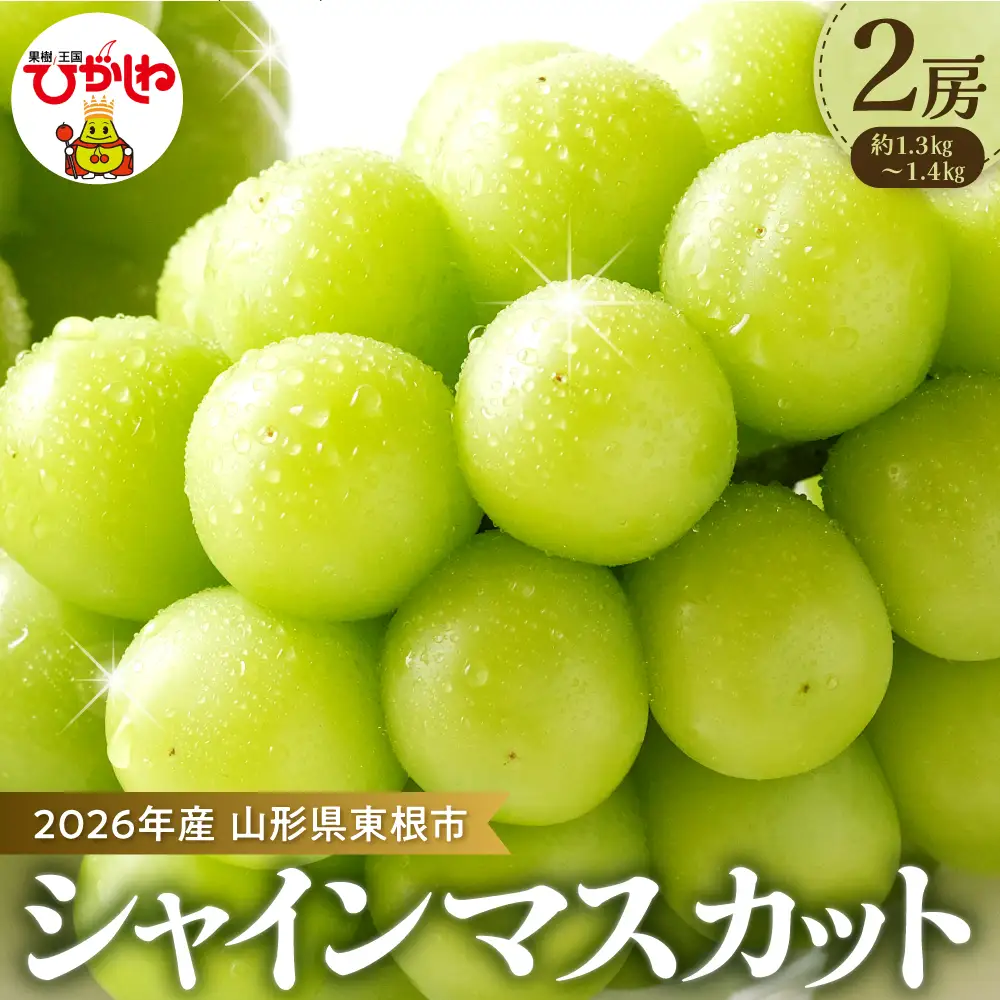 2026年産 ぶどう シャインマスカット 2房(約1.3kg) ぶどう